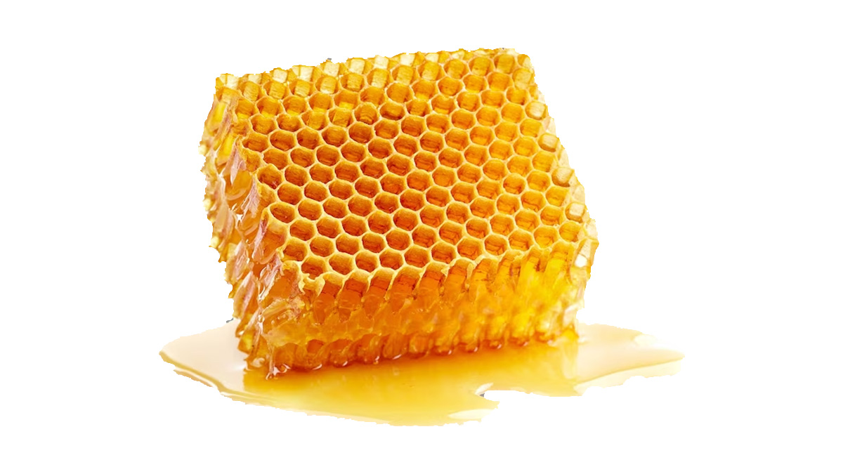 Are You Scared Of Clustered Holes? Know About The Condition OnlyMyHealth